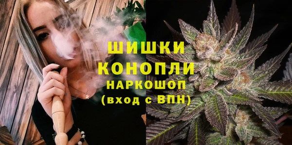 ПСИЛОЦИБИНОВЫЕ ГРИБЫ Бородино