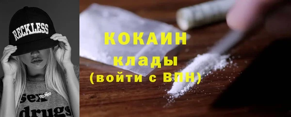 ПСИЛОЦИБИНОВЫЕ ГРИБЫ Бородино