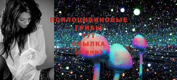 ПСИЛОЦИБИНОВЫЕ ГРИБЫ Бородино