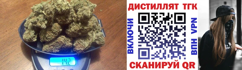 Купить закладки  Кологрив  ТГК концентрат 