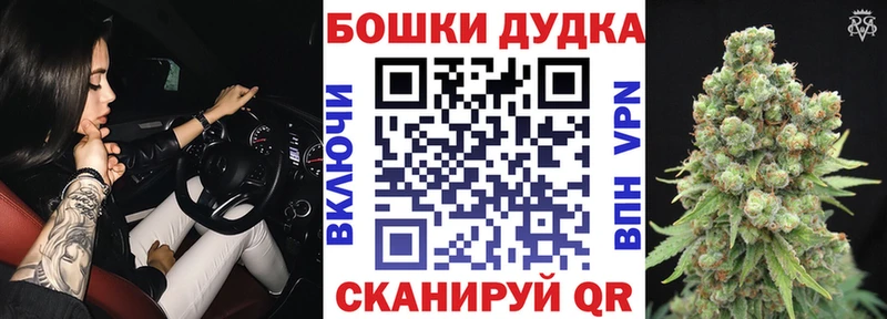 Бошки Шишки THC 21%  Купить закладки  Кологрив 